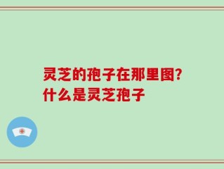 灵芝的孢子在那里图？什么是灵芝孢子