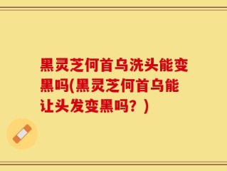 黑灵芝何首乌洗头能变黑吗(黑灵芝何首乌能让头发变黑吗？)