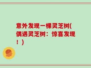 意外发现一棵灵芝树(偶遇灵芝树：惊喜发现！)