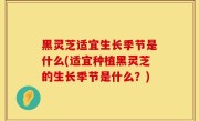 黑灵芝适宜生长季节是什么(适宜种植黑灵芝的生长季节是什么？)