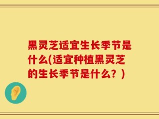 黑灵芝适宜生长季节是什么(适宜种植黑灵芝的生长季节是什么？)