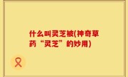 什么叫灵芝被(神奇草药“灵芝”的妙用)