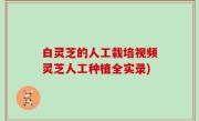 白灵芝的人工栽培视频灵芝人工种植全实录)