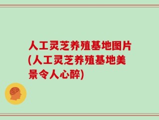 人工灵芝养殖基地图片(人工灵芝养殖基地美景令人心醉)