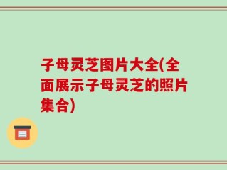 子母灵芝图片大全(全面展示子母灵芝的照片集合)