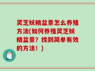 灵芝妖精盆景怎么养殖方法(如何养殖灵芝妖精盆景？找到简单有效的方法！)