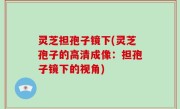 灵芝担孢子镜下(灵芝孢子的高清成像：担孢子镜下的视角)