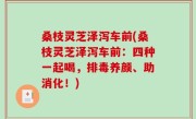 桑枝灵芝泽泻车前(桑枝灵芝泽泻车前：四种一起喝，排毒养颜、助消化！)