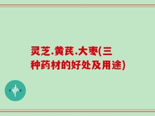 灵芝.黄芪.大枣(三种药材的好处及用途)