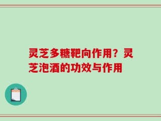 灵芝多糖靶向作用？灵芝泡酒的功效与作用