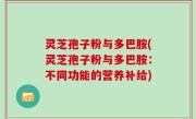 灵芝孢子粉与多巴胺(灵芝孢子粉与多巴胺：不同功能的营养补给)