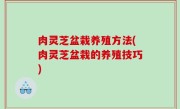 肉灵芝盆栽养殖方法(肉灵芝盆栽的养殖技巧)