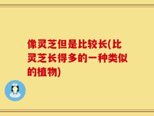像灵芝但是比较长(比灵芝长得多的一种类似的植物)