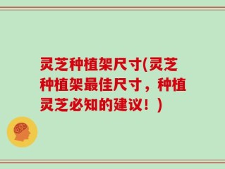灵芝种植架尺寸(灵芝种植架最佳尺寸，种植灵芝必知的建议！)