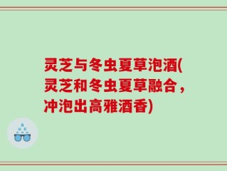 灵芝与冬虫夏草泡酒(灵芝和冬虫夏草融合，冲泡出高雅酒香)