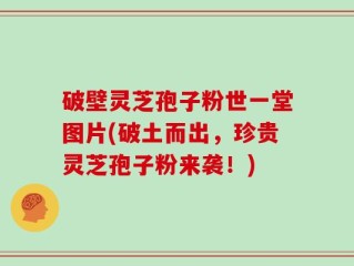 破壁灵芝孢子粉世一堂图片(破土而出，珍贵灵芝孢子粉来袭！)