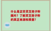 什么是正宗灵芝孢子粉图片？了解灵芝孢子粉的真正来源和质量？