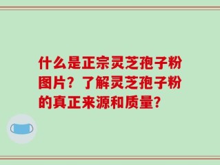什么是正宗灵芝孢子粉图片？了解灵芝孢子粉的真正来源和质量？