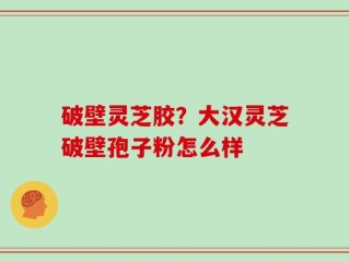 破壁灵芝胶？大汉灵芝破壁孢子粉怎么样