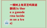 一棵树上有灵芝吗英语翻译(Is there a ganoderma lucidum on a tree)