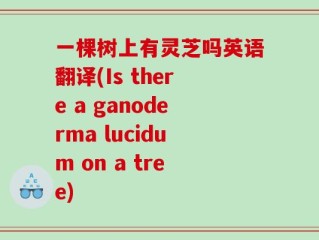 一棵树上有灵芝吗英语翻译(Is there a ganoderma lucidum on a tree)