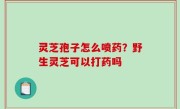 灵芝孢子怎么喷药？野生灵芝可以打药吗