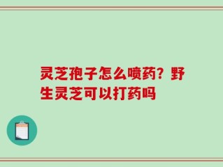 灵芝孢子怎么喷药？野生灵芝可以打药吗