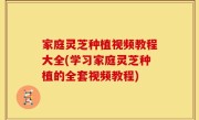 家庭灵芝种植视频教程大全(学习家庭灵芝种植的全套视频教程)