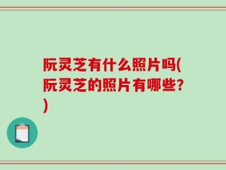 阮灵芝有什么照片吗(阮灵芝的照片有哪些？)