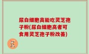 尿白细胞高能吃灵芝孢子粉(尿白细胞高者可食用灵芝孢子粉改善)