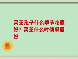 灵芝孢子什么季节吃最好？灵芝什么时候采最好