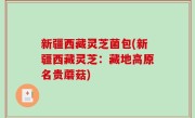 新疆西藏灵芝菌包(新疆西藏灵芝：藏地高原名贵蘑菇)