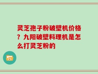灵芝孢子粉破壁机价格？九阳破壁料理机是怎么打灵芝粉的