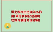灵芝和枸杞泡酒怎么作用(灵芝和枸杞泡酒的功效与制作方法详解)