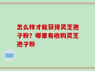 怎么样才能获得灵芝孢子粉？哪里有收购灵芝孢子粉