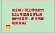 山东临沂灵芝种植合作社(山东临沂合作社成功种植灵芝，助推当地经济发展)