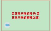 灵芝孢子粉的种子(灵芝孢子粉的繁殖之道)