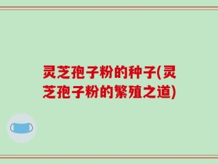 灵芝孢子粉的种子(灵芝孢子粉的繁殖之道)