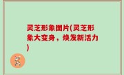 灵芝形象图片(灵芝形象大变身，焕发新活力)
