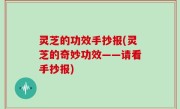 灵芝的功效手抄报(灵芝的奇妙功效——请看手抄报)