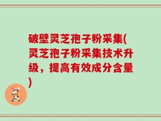 破壁灵芝孢子粉采集(灵芝孢子粉采集技术升级，提高有效成分含量)