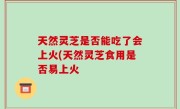 天然灵芝是否能吃了会上火(天然灵芝食用是否易上火