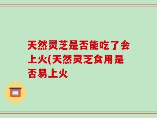 天然灵芝是否能吃了会上火(天然灵芝食用是否易上火