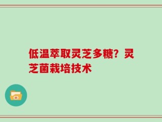 低温萃取灵芝多糖？灵芝菌栽培技术