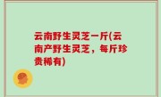 云南野生灵芝一斤(云南产野生灵芝，每斤珍贵稀有)
