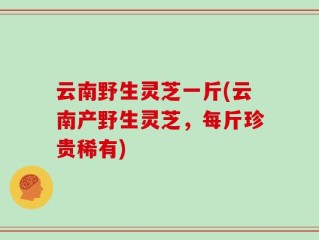 云南野生灵芝一斤(云南产野生灵芝，每斤珍贵稀有)