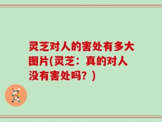 灵芝对人的害处有多大图片(灵芝：真的对人没有害处吗？)