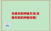 无根石斛种植方法(无根石斛的种植攻略)