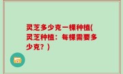 灵芝多少克一棵种植(灵芝种植：每棵需要多少克？)