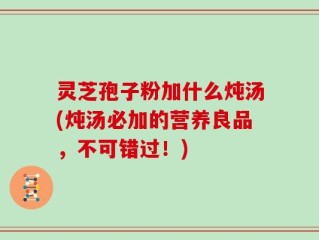 灵芝孢子粉加什么炖汤(炖汤必加的营养良品，不可错过！)